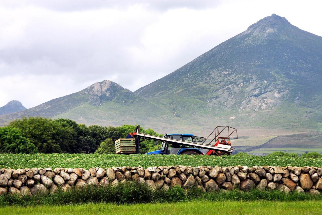 Ballykeel Farm, Mourne Mountains Ballymartin Buitenkant foto
