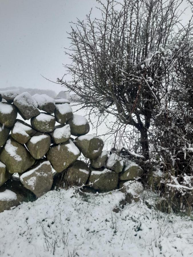 Ballykeel Farm, Mourne Mountains Ballymartin Buitenkant foto