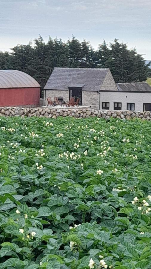 Ballykeel Farm, Mourne Mountains Ballymartin Buitenkant foto