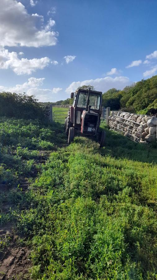 Ballykeel Farm, Mourne Mountains Ballymartin Buitenkant foto